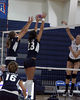 royals > HIU MVB Royals vs UCSD photo