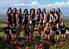 royals > 2007 HIU Women's Volleyball