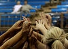 royals > HIUMVB vs Holy Names (March 7, 2008) photo